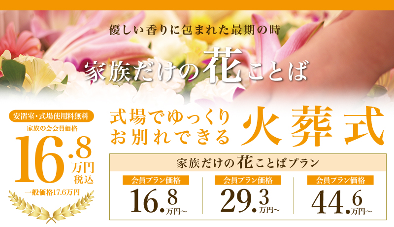 2024年8月31日（土）新聞の折込チラシをお届けします